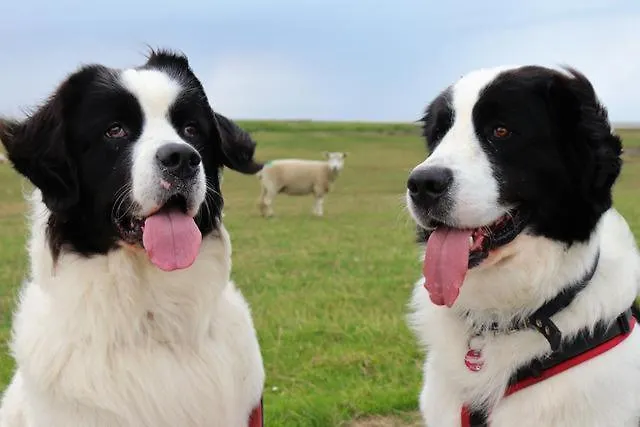 Diekhuus Haushaelfte Nordstrand